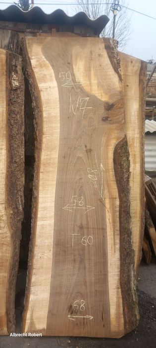 Слеб,сляб,дошка,горіх грецький