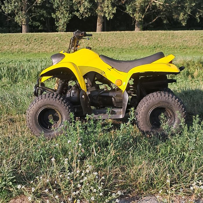 Sprzedam qlada 100cm