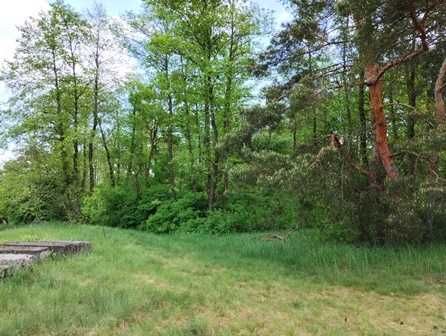 Ділянка під забудову в Лісі