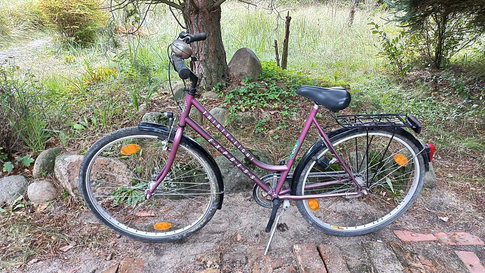 Rower Miejski Damski Express Hirty Eight 3 biegi Torpedo Damka 28