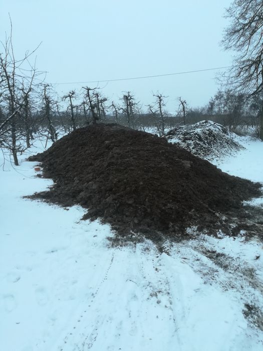 Podłoże popieczarkowe