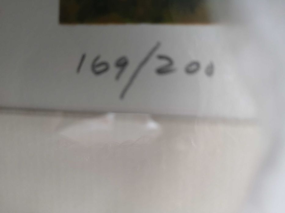 Serigrafia de Salvação Barreto, com o nome "Da mesma Cor"