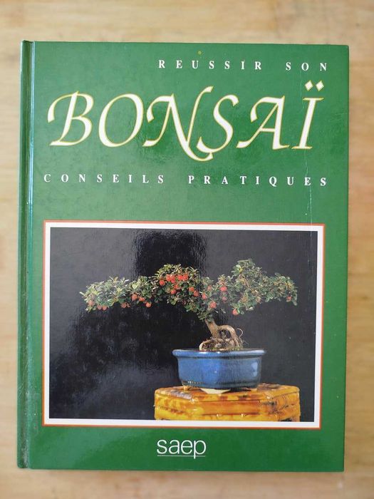 Reussir Son BONSAI Conseuls Pratiques