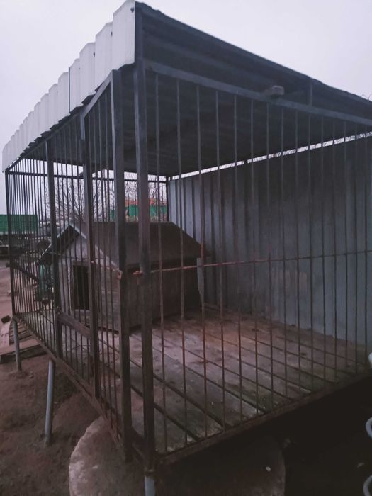 Kojec, klatka dla psa