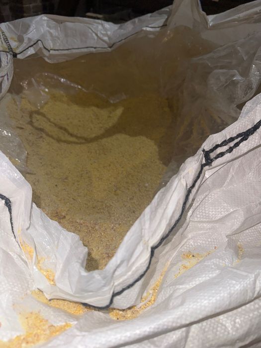 Kukurydza CCM w big bag