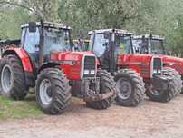 Massey Ferguson 8120, 8130 Tuz