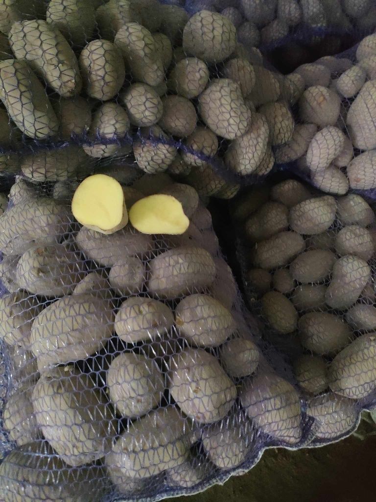 Ziemniaki jadalne kaliber 30-50 jak sadzeniak
