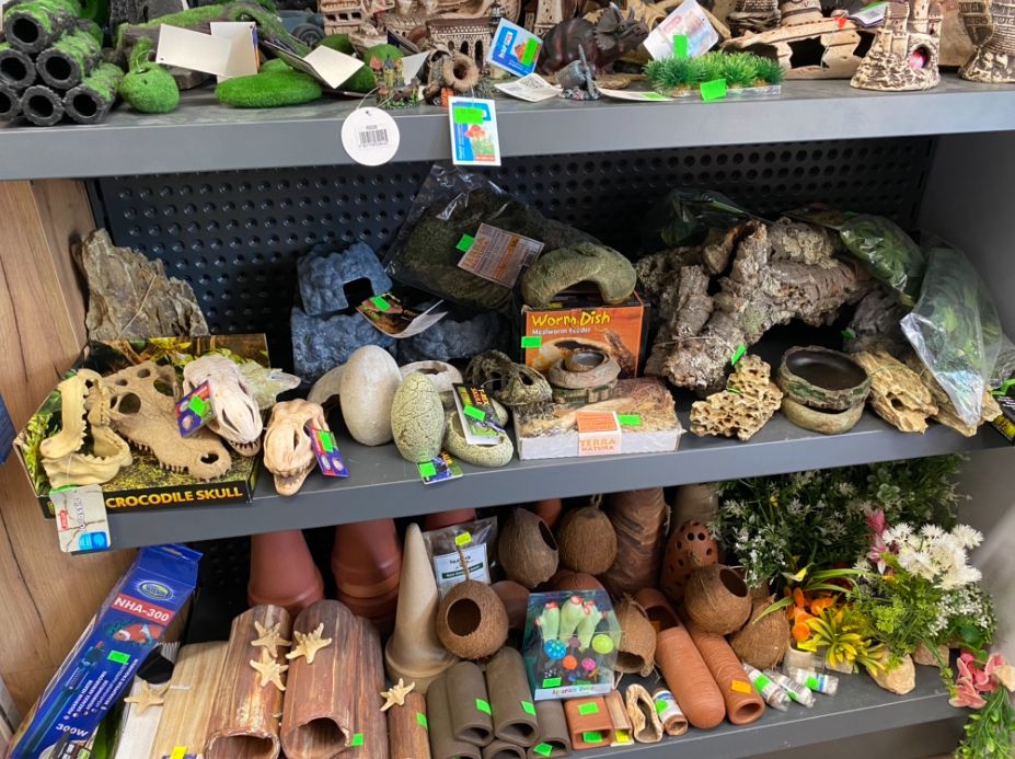 Ozdoba do terrarium akwarium czaszka rowniez inne akcesoria