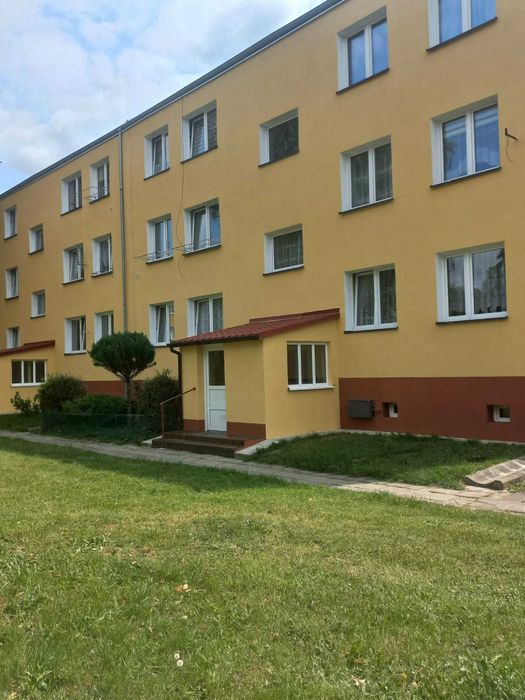 Mycie elewacji, wycinka drzew, usługi podnośnikiem koszowym 22m i 16m