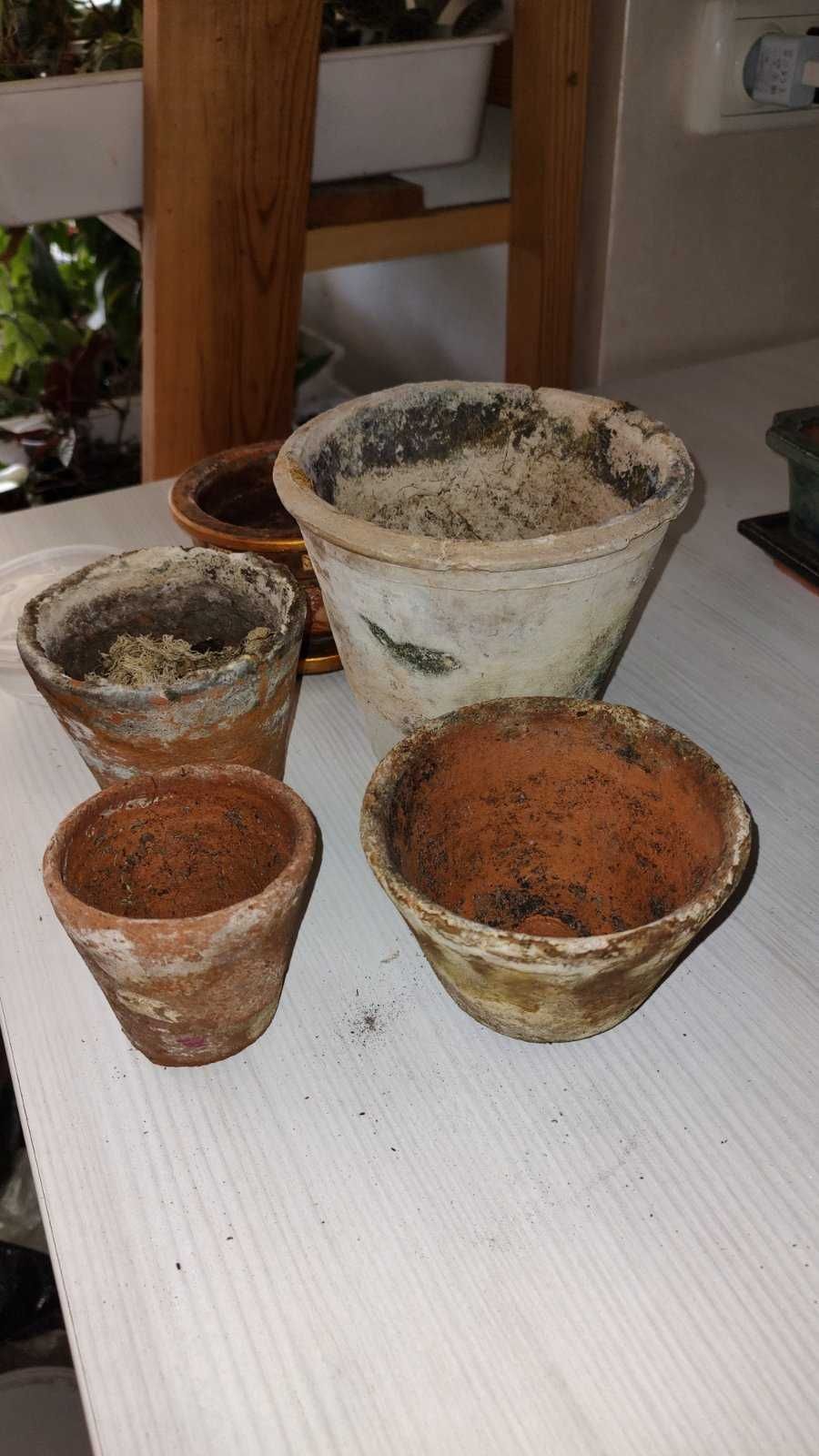 опрыскиватель, горшки много разных , много растений