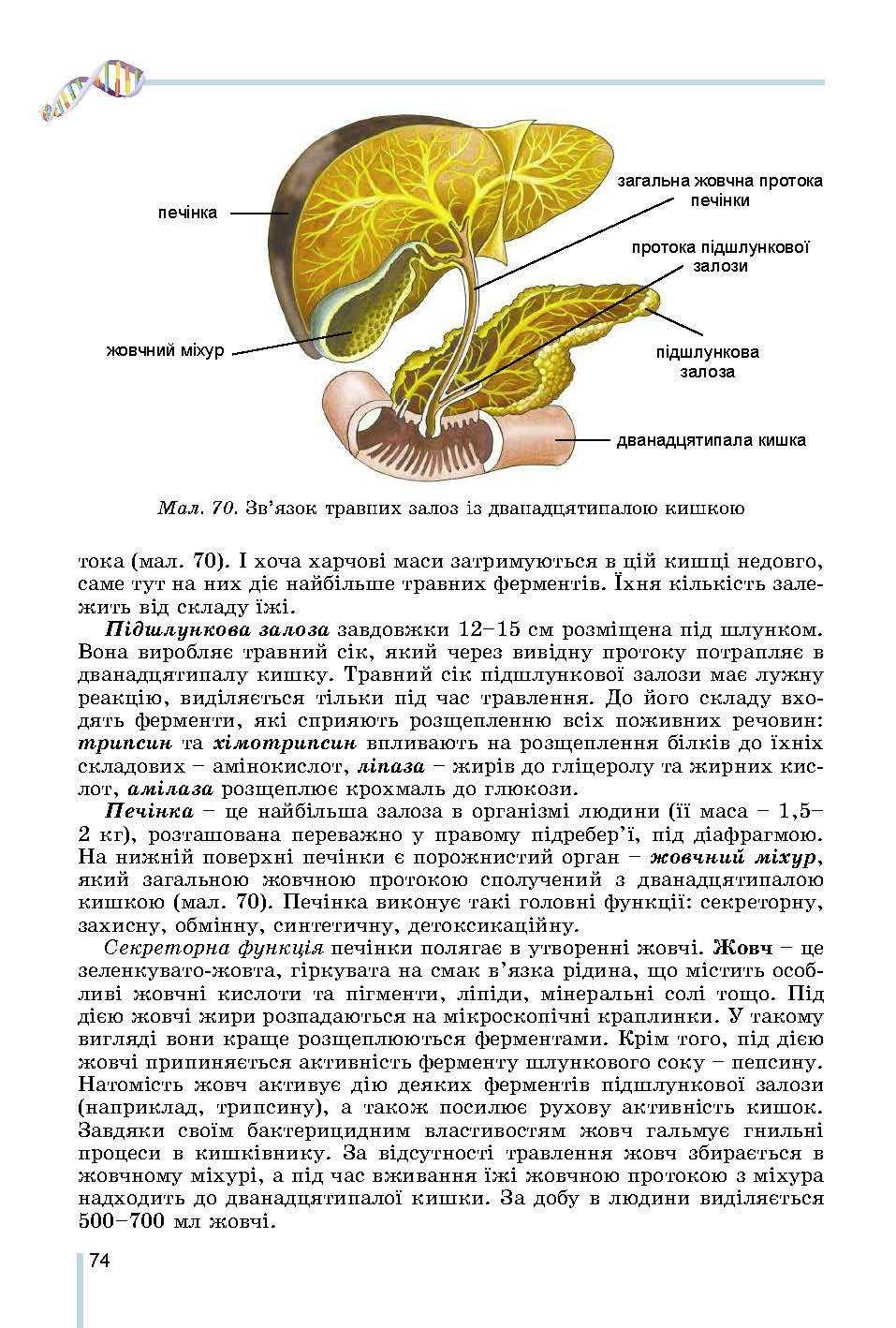 Підручник Біологія Н. Матяш, 8 клас 2021р