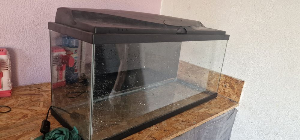 Aquário e vários acessórios