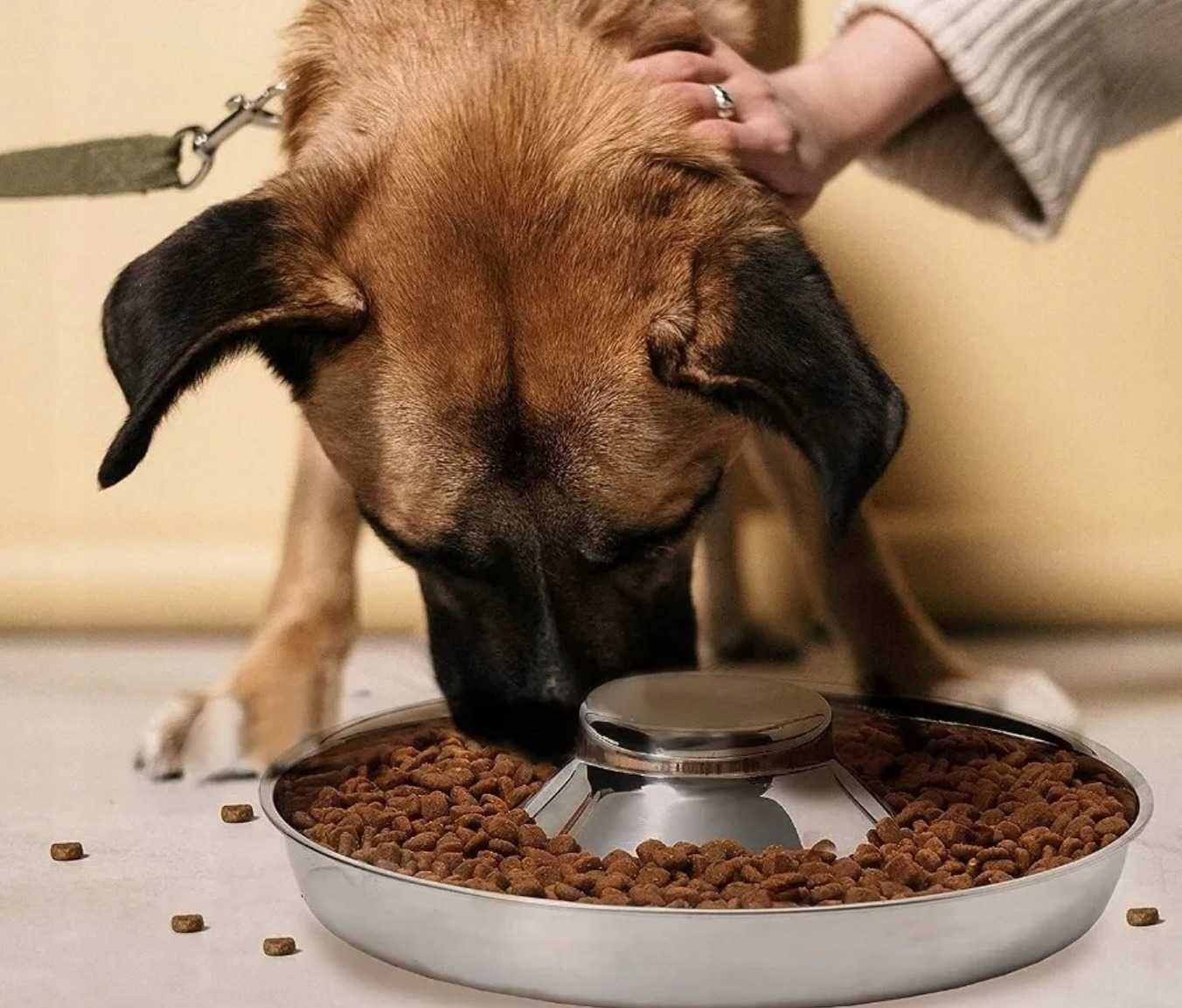 Miska metalowa 1,4L 26cm dla psa kota zwierząt miseczka na pokarm wodę