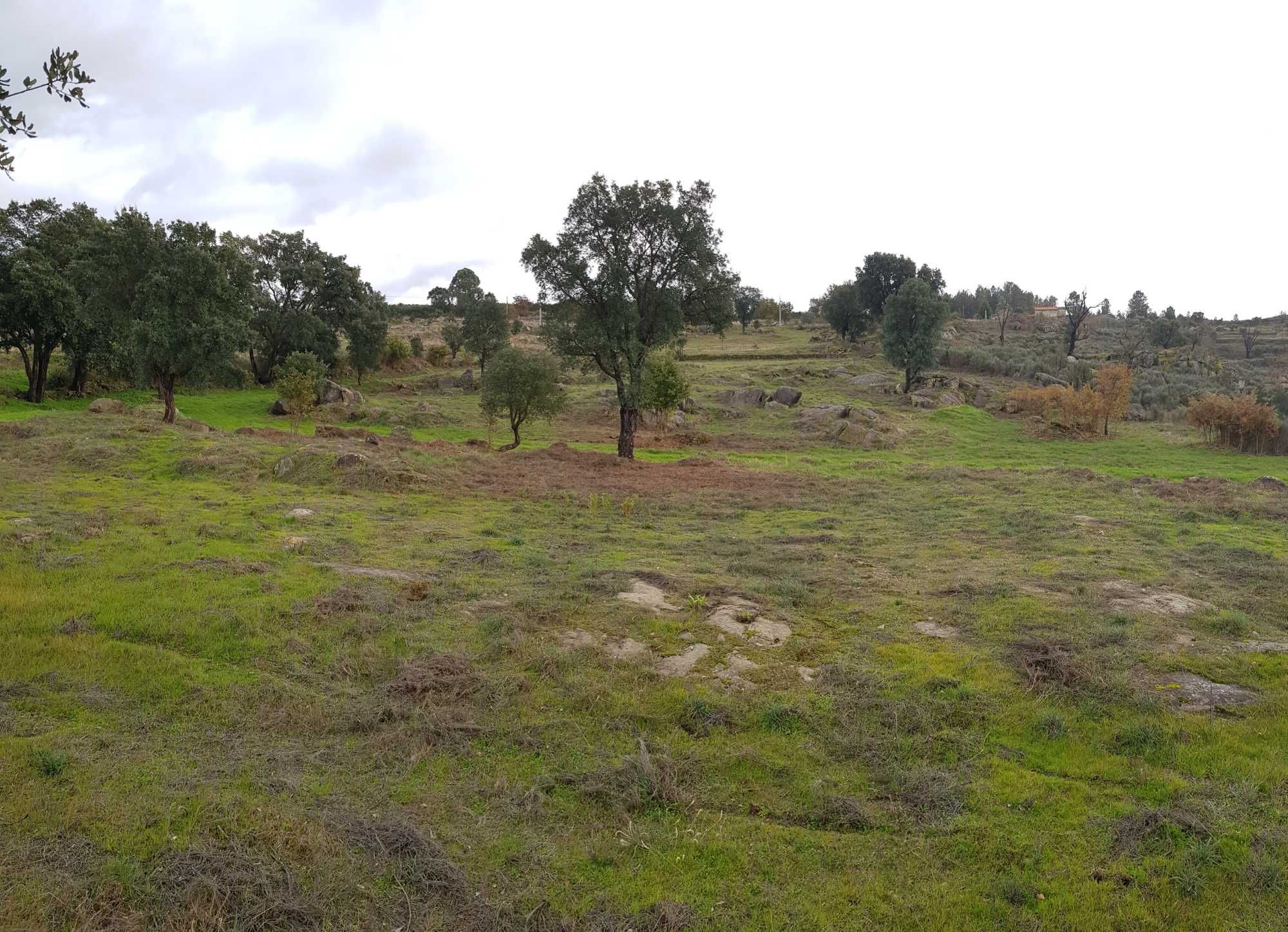 Terreno com Água Própria, Bons Acessos e Potencial de Construção!