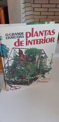 " Plantas de Interior"