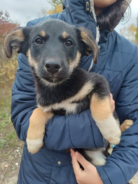 SOS!!! Допоможіть отримати сім'ю, дві дівчинки