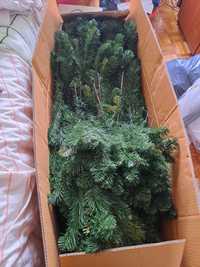Árvore de Natal com caixa