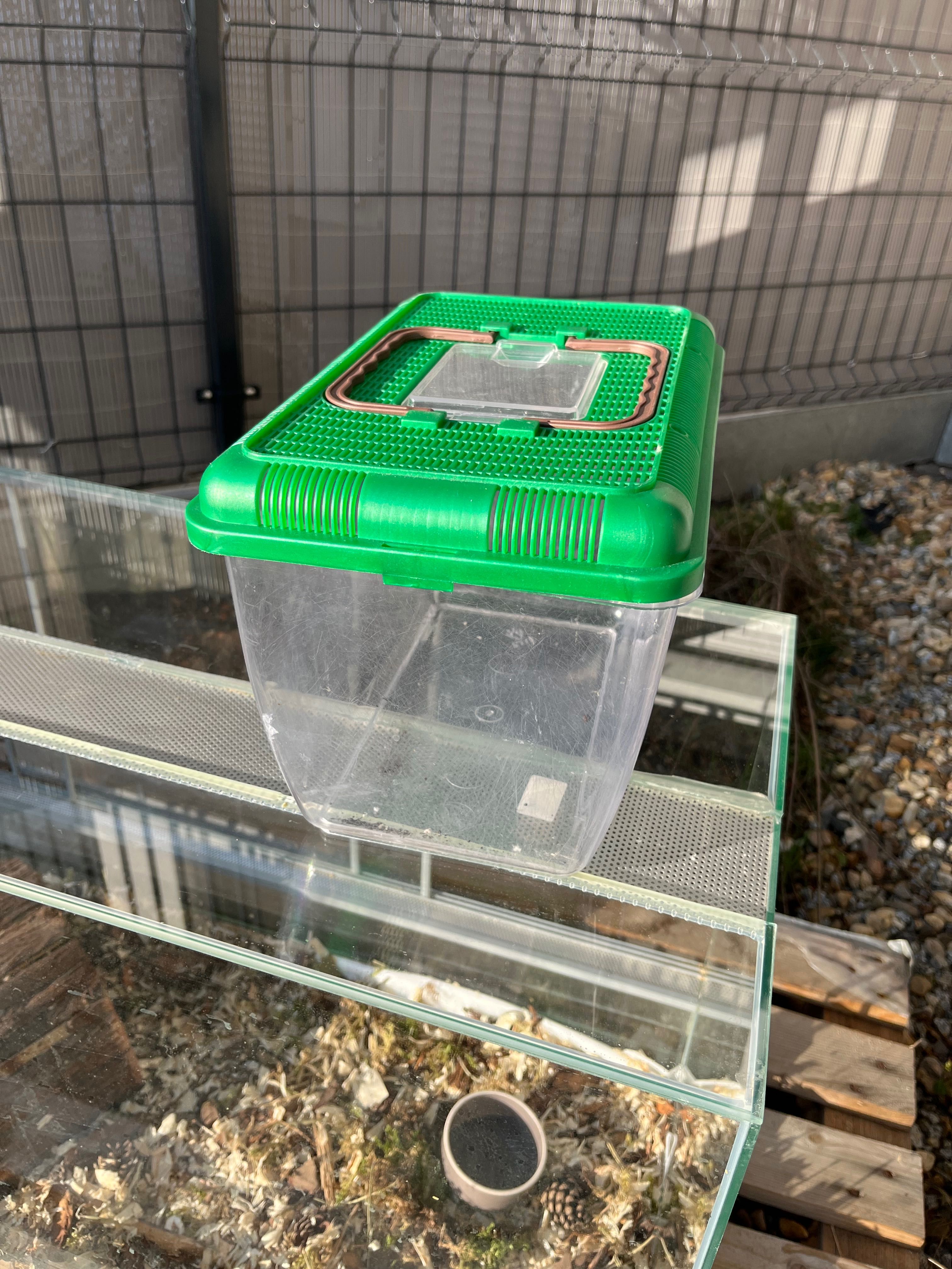 Transporter terrarium dla zwierząt