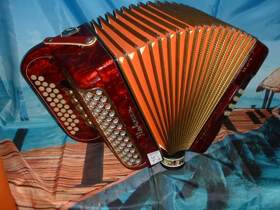 Concertina n. 253