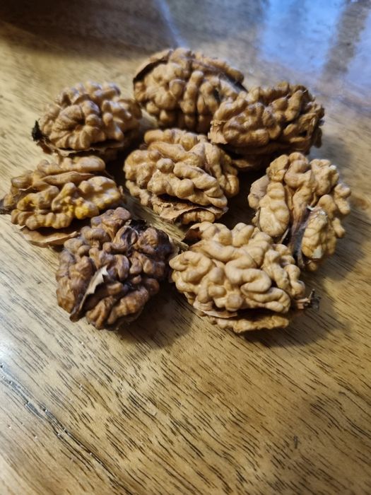 Грецький горіх (чищений)