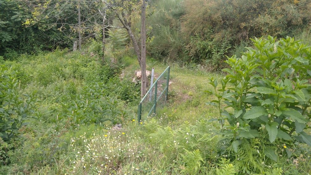 Venda de terreno para construção