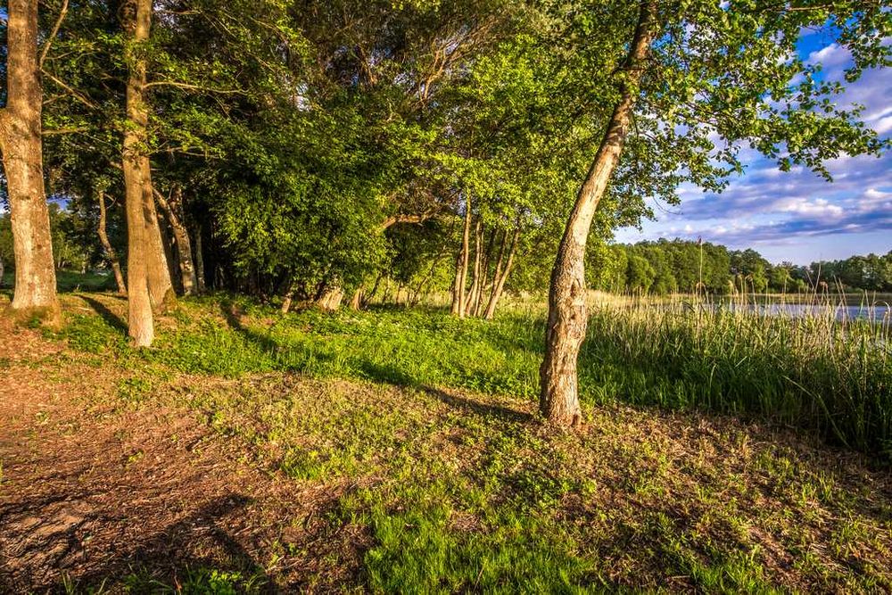 Duża działka nad jeziorem 0,99 ha (100m linii brzeg., war. zabud.)