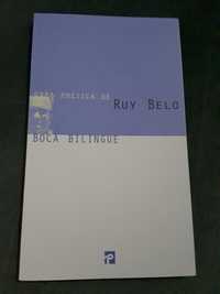 Ruy Belo/ F. Pessoa / Paulo Alexandre Pinto /Novíssimos Antologia