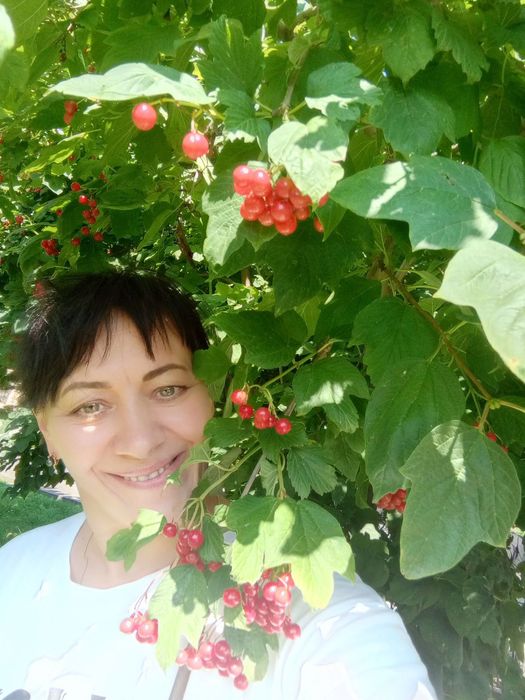 Няня / Помічниця для догляду за дітьми (Львів, Винники)