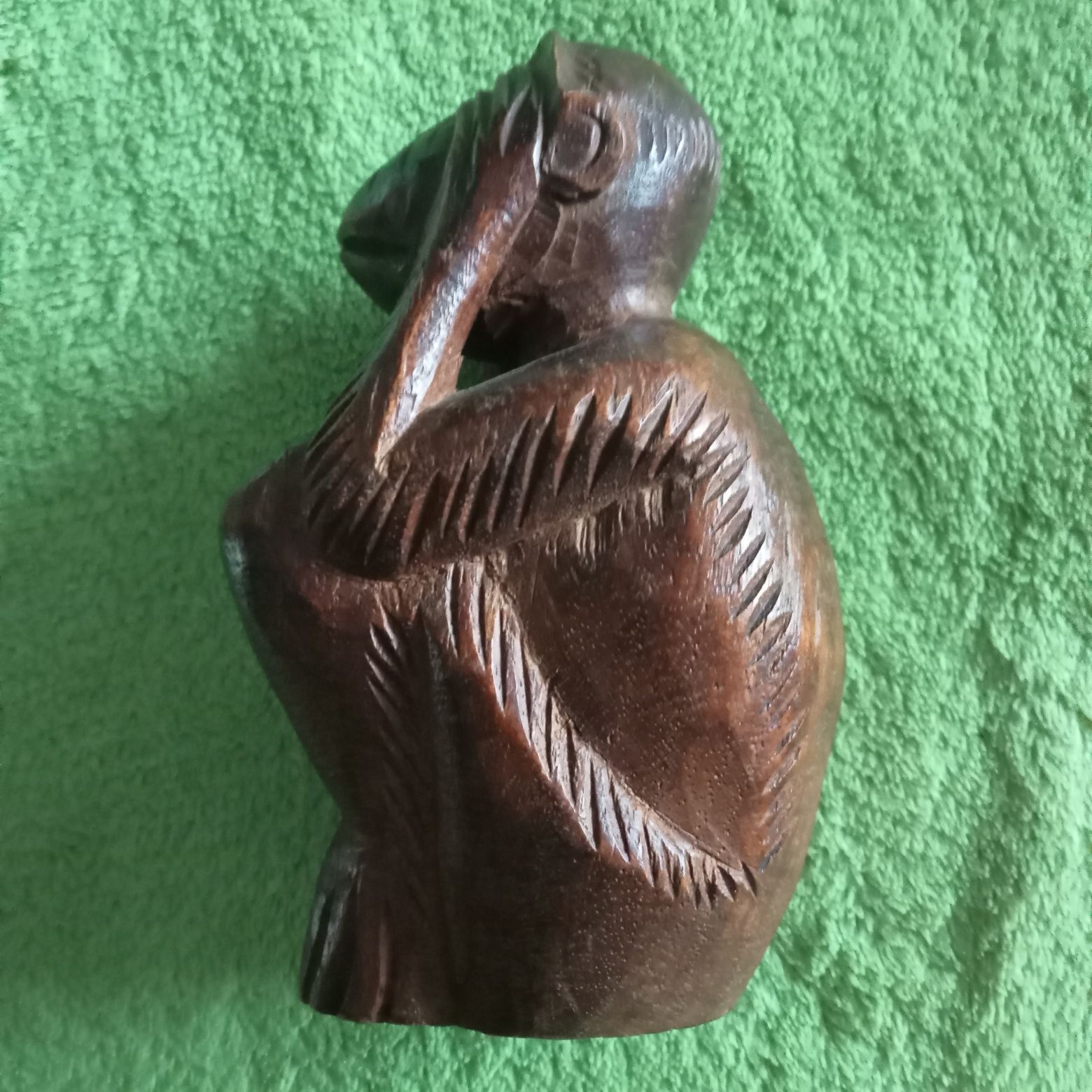 Małpka "Etyka i moralność".