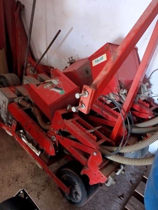 Corpos de sementeira de hortícolas