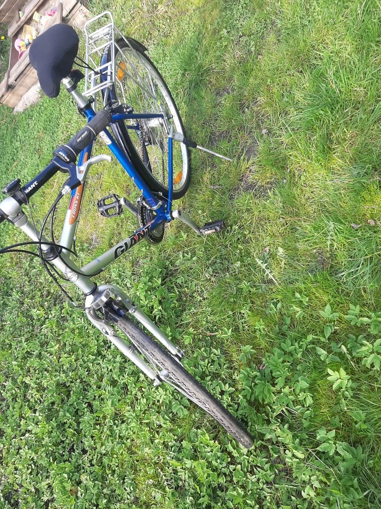 Rower Giant Cross K 1