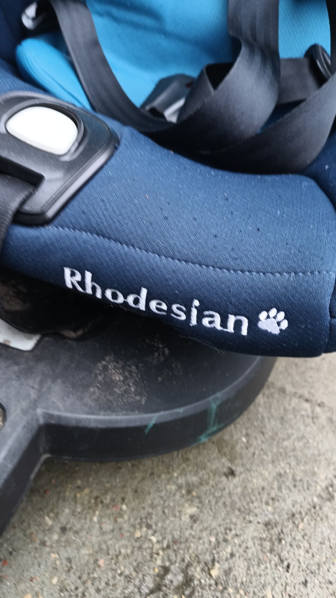 Fotelik (do 15 kg) Baby Safe Rhodesjan