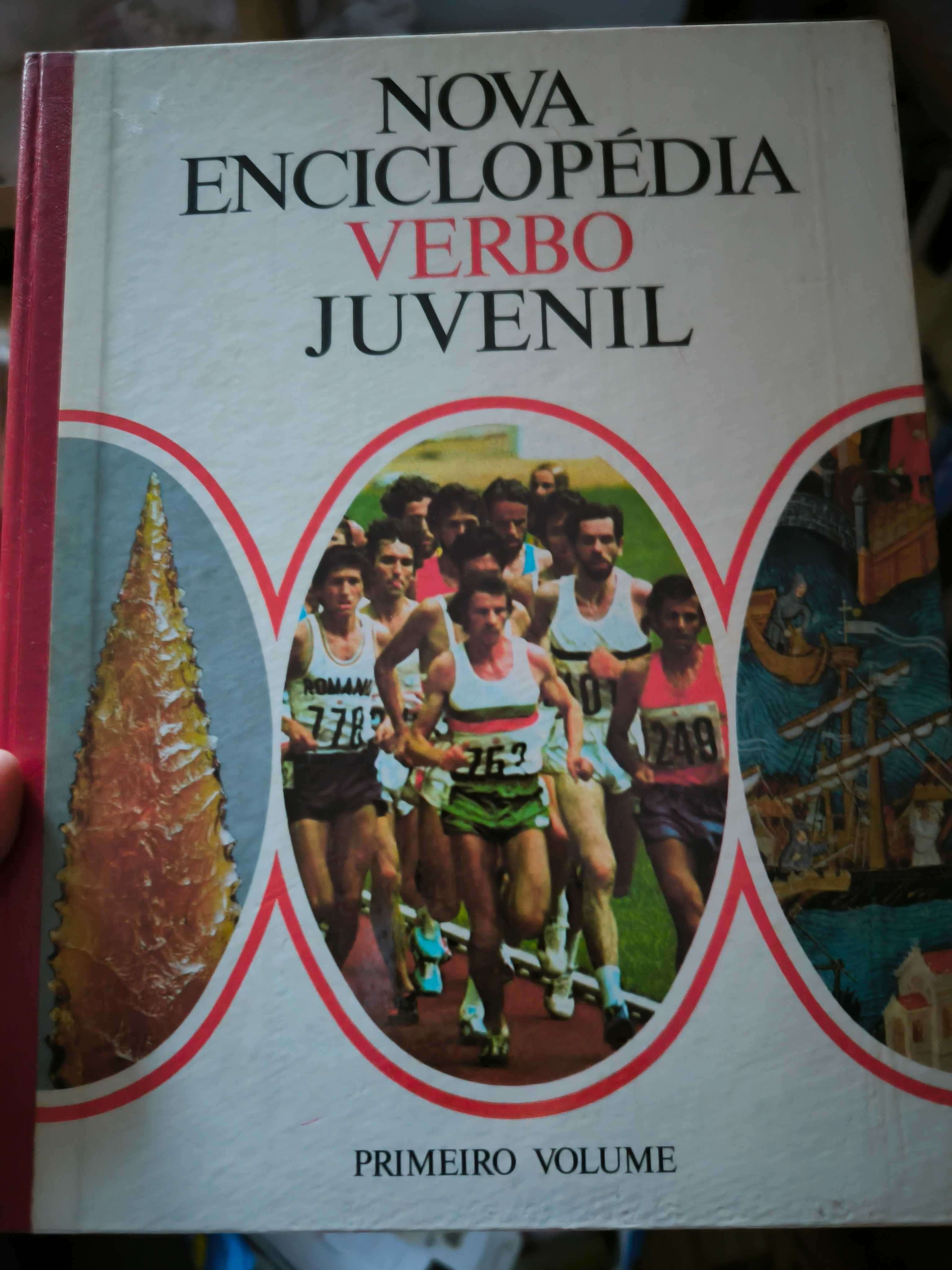 Nova Enciclopédia Verbo Juvenil - 12 volumes