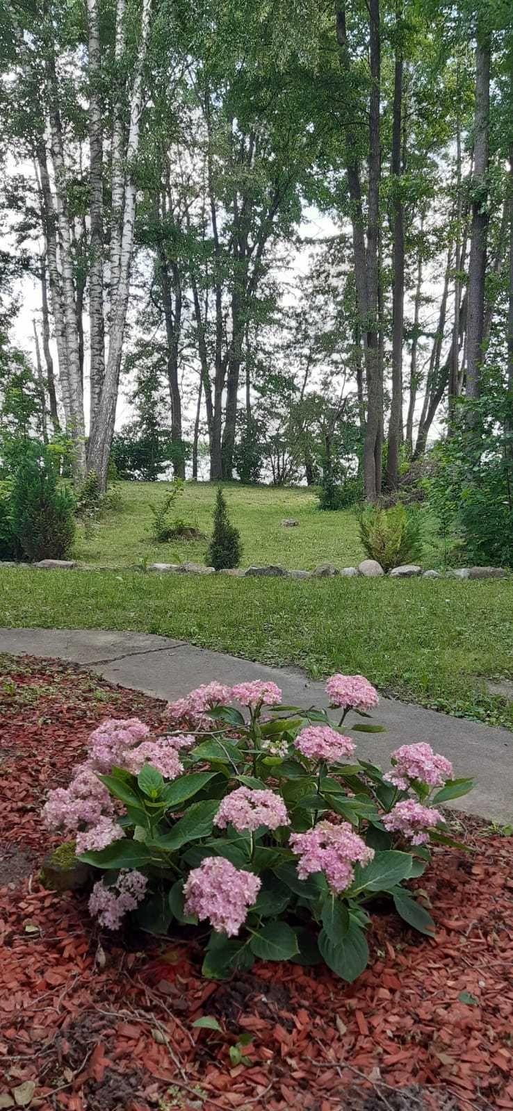 Domek letniskowy nad jeziorem Wulpińskim, Warmia i Mazury.