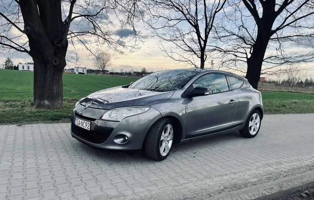 Renault Megane 1.9 dCi Dynamique - Paccpoчка+Растаможка