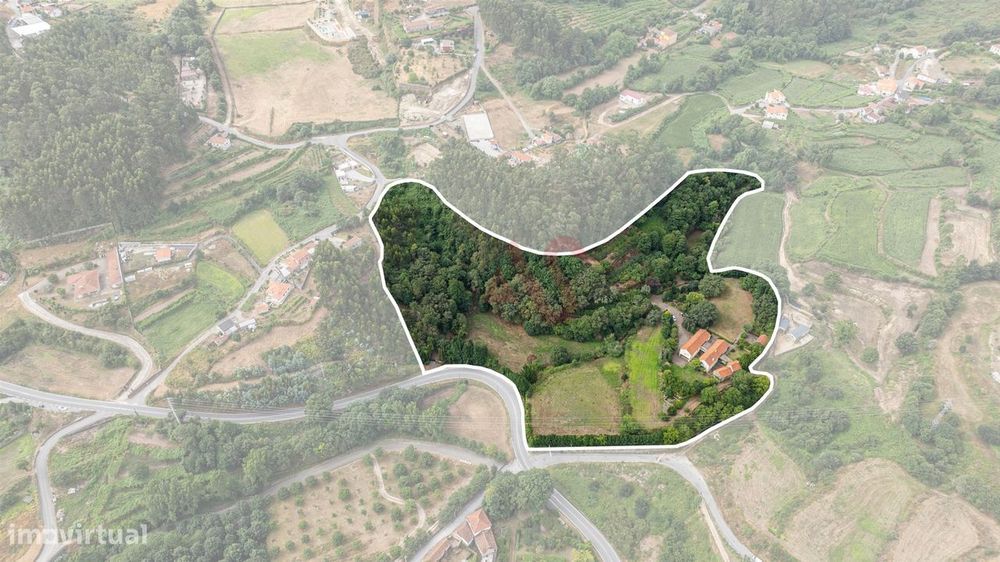 Quinta da Azenha – Encanto Rural em Lustosa, Lousada