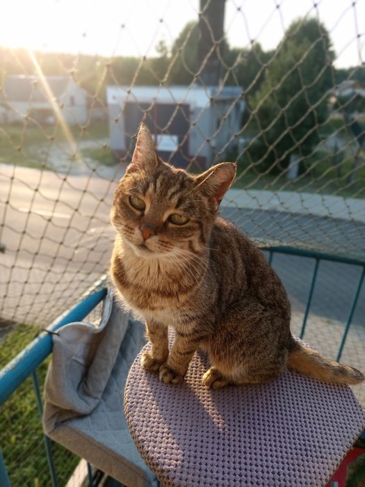 Smutna Marysia prosi o domek