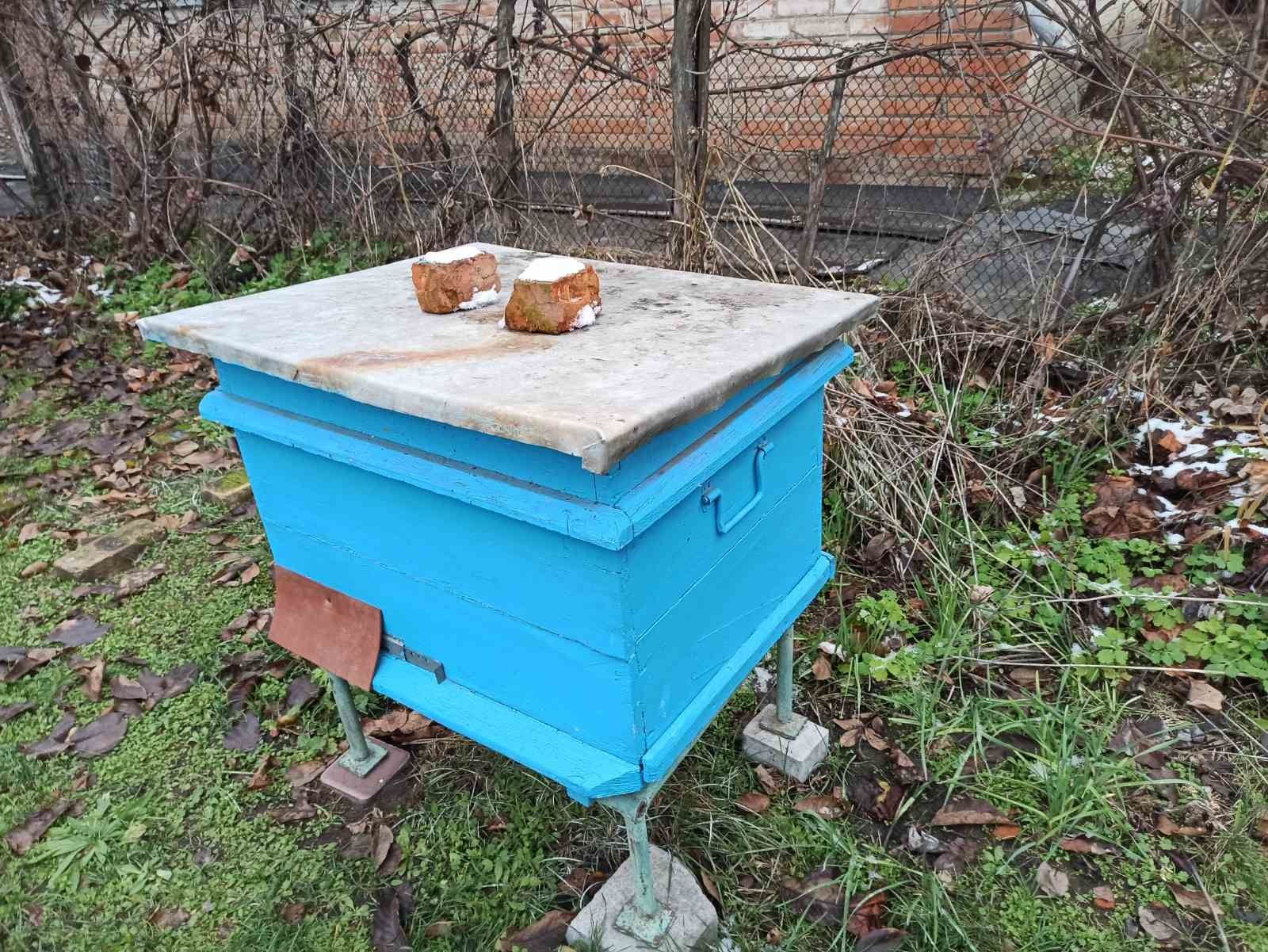 Продаються бджоли, бджолосім'ї (українська степова)