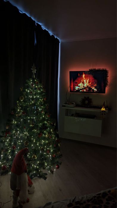 Гірлянда роса 50 м