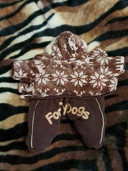 Одежда для собак