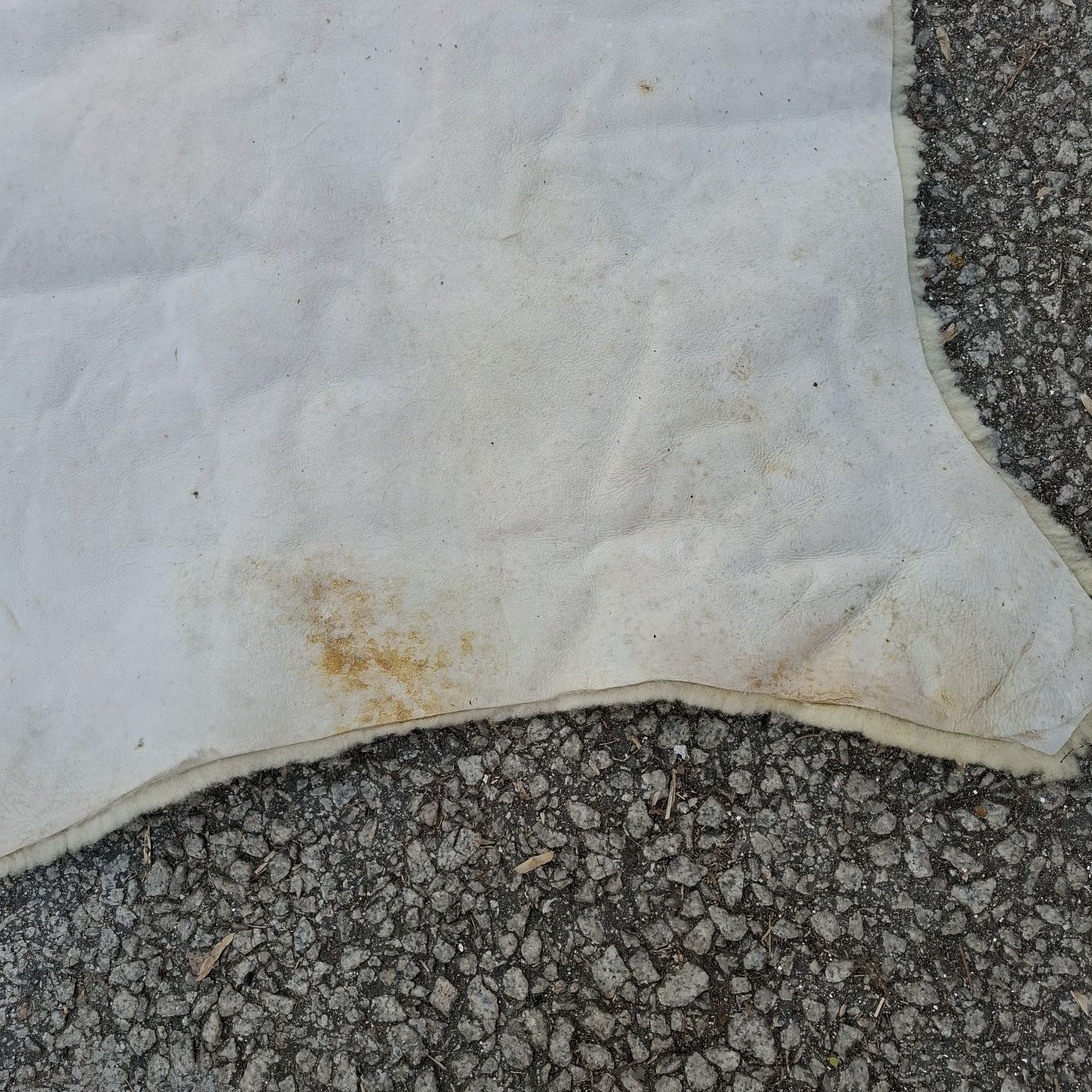 Pele de borrego com algumas manchas
