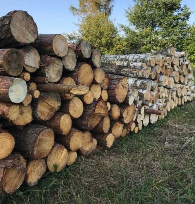 Drzewo drewno kominkowe opałowe wałki grab buk dąb buk brzoza olcha