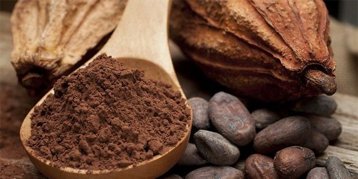 Какао порошок тёмный в/с жирность 22% Геркенс, Каргилл, Голландия
