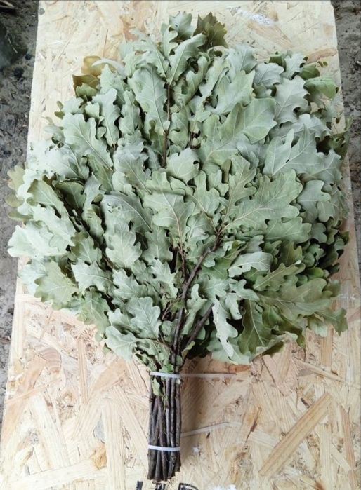 Веник для бани , сауны , канадский дуб