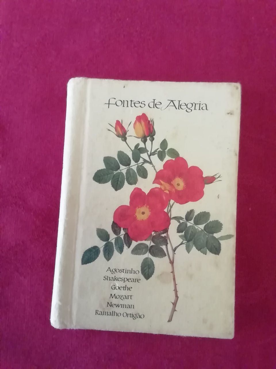 Fontes de alegria livro de 1974