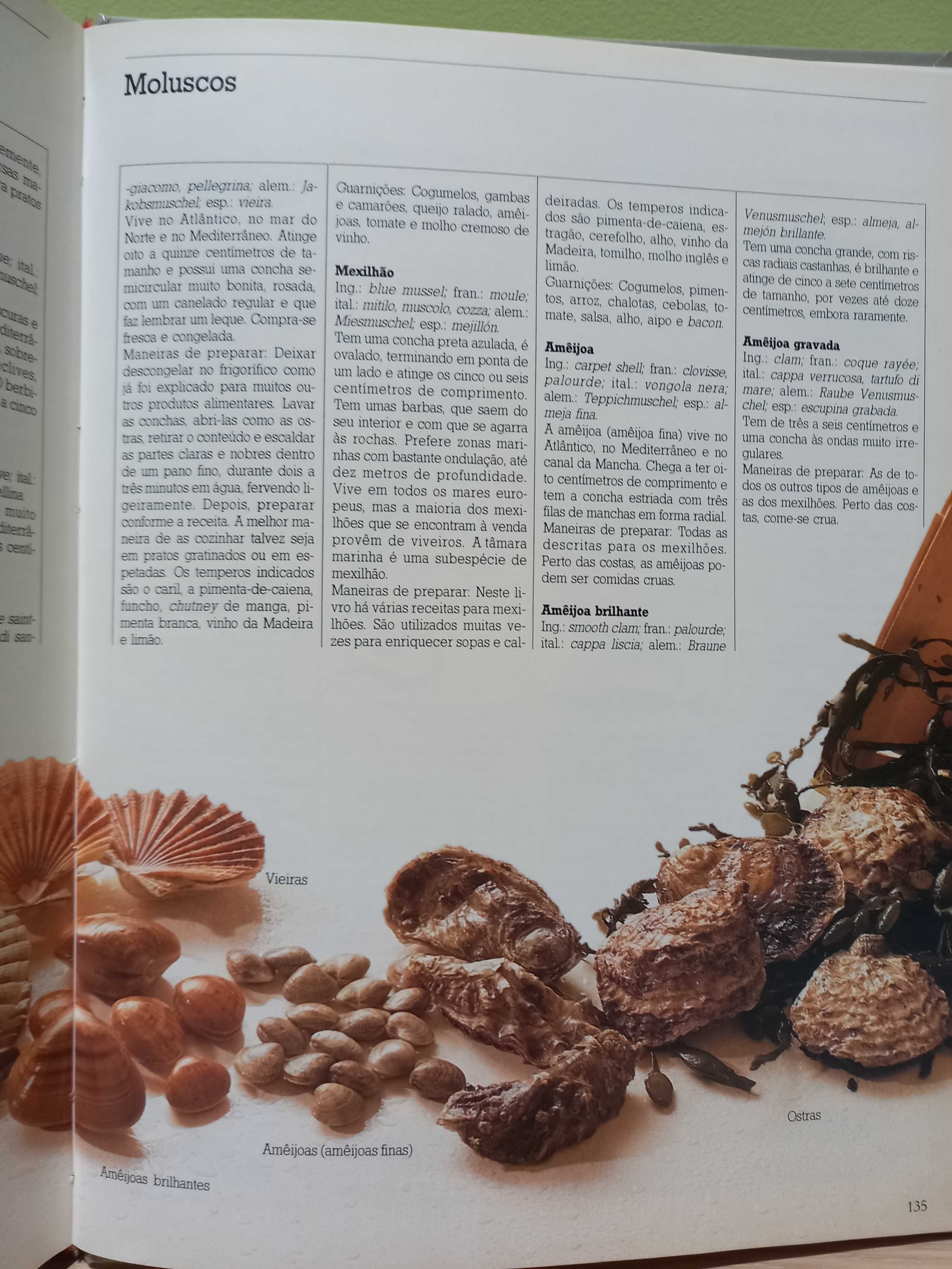 Livro de Receitas "Cozinhar Melhor - Peixes"