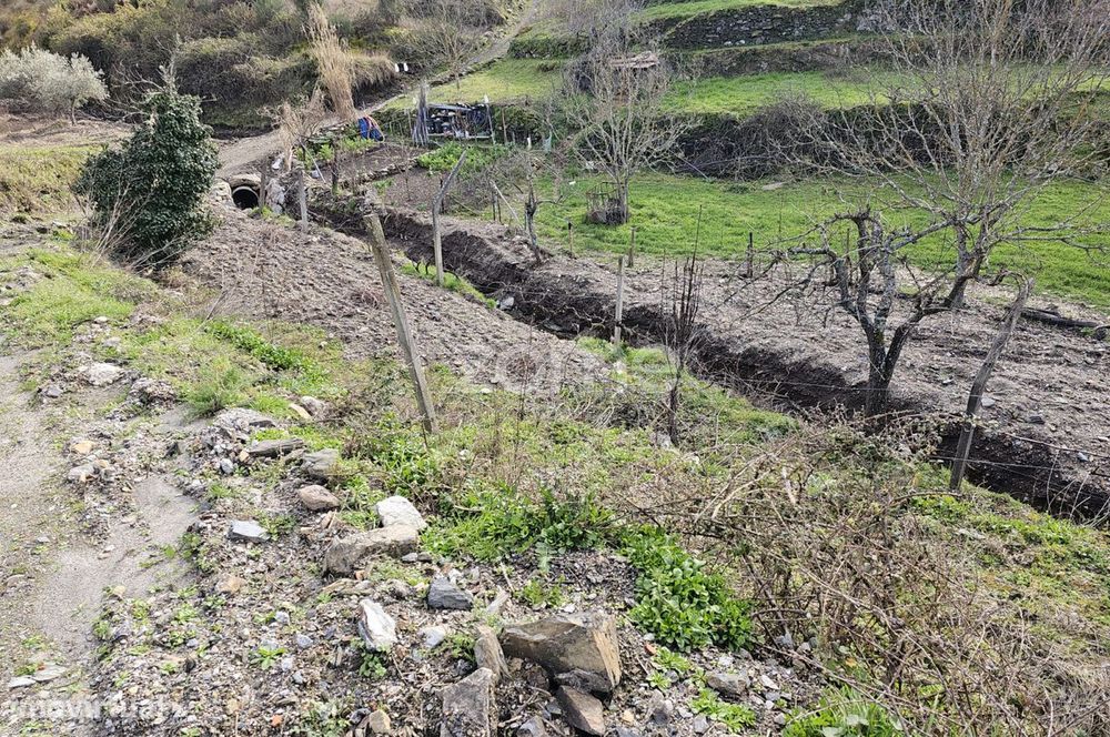 Moradia, Murça