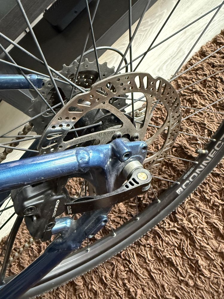 Trek Dual Sport 2 2021 L 20”
