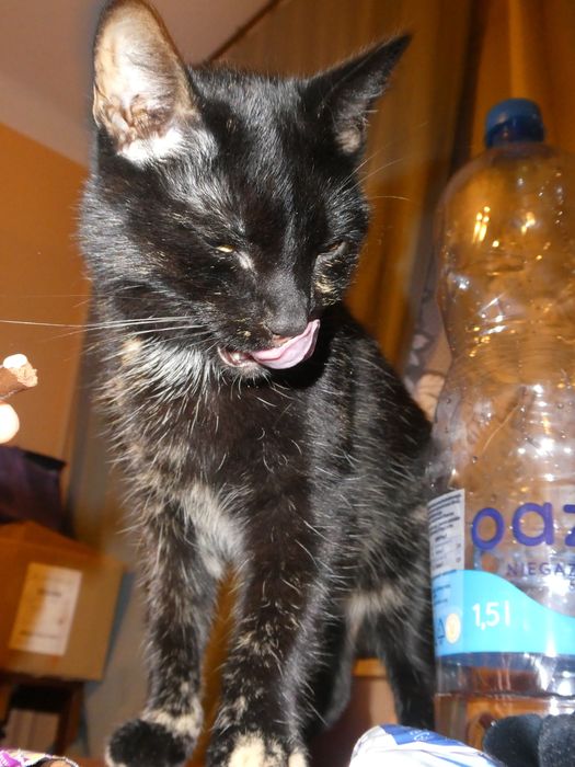 Panasonic Lumix DMC-TZ70 71 bdb stan cyfrowy aparat kompaktowy digicam