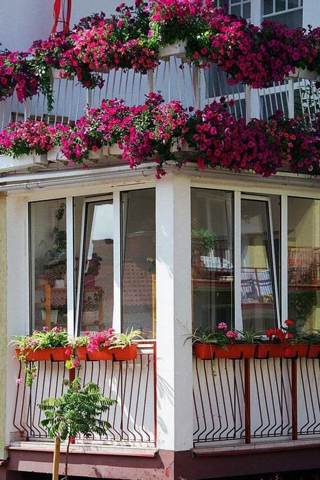 Naprawy/Montaże Złota rączka "Piaseczno"